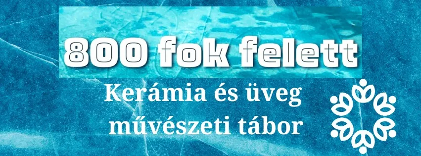 ЦЕРАМИЈА & AMP; BOČICA PLANT > 800 степени