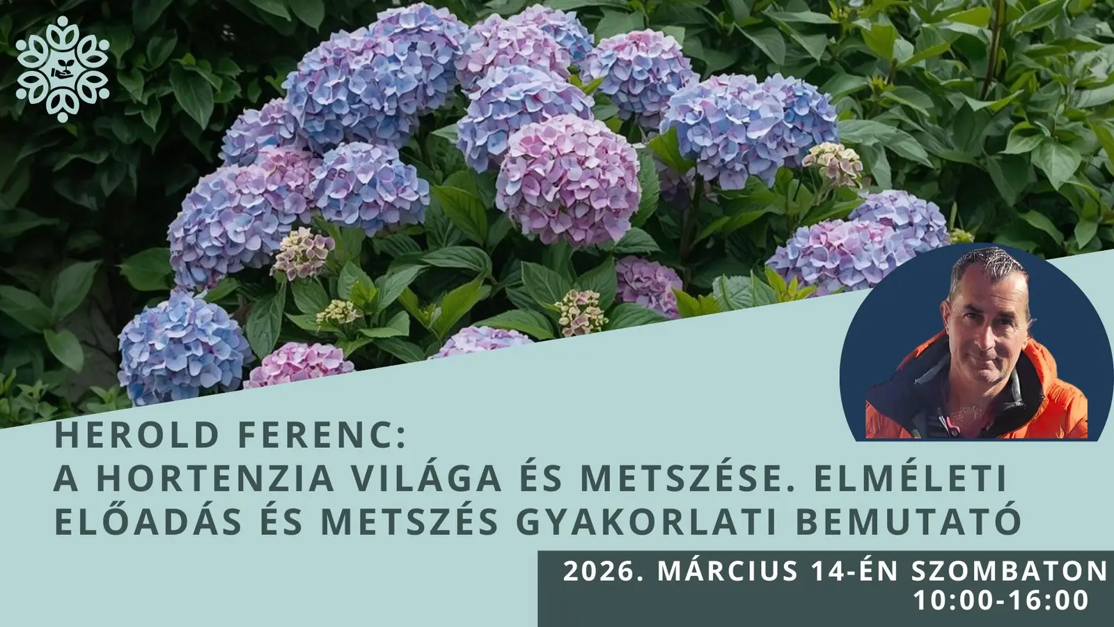 Herold Ferenc: Hortenzia világa és metszése...